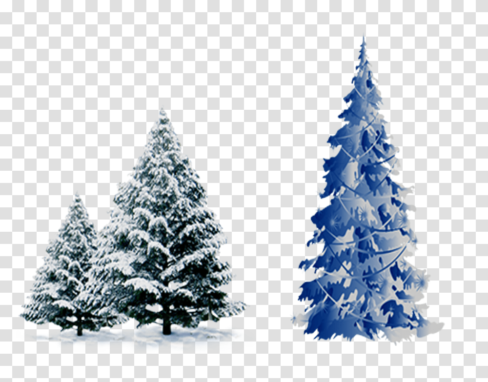 Snow Pine Blue Christmas Tree Vector Snow Christmas Tree, Plant, Ornament Transparent Png