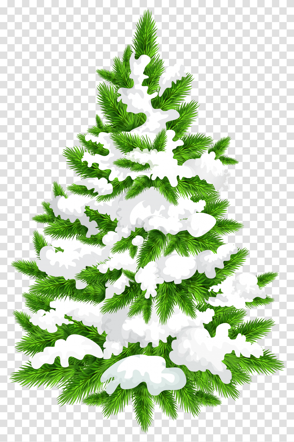 Snow Pine Tree Hd Christmas Snow Tree Transparent Png