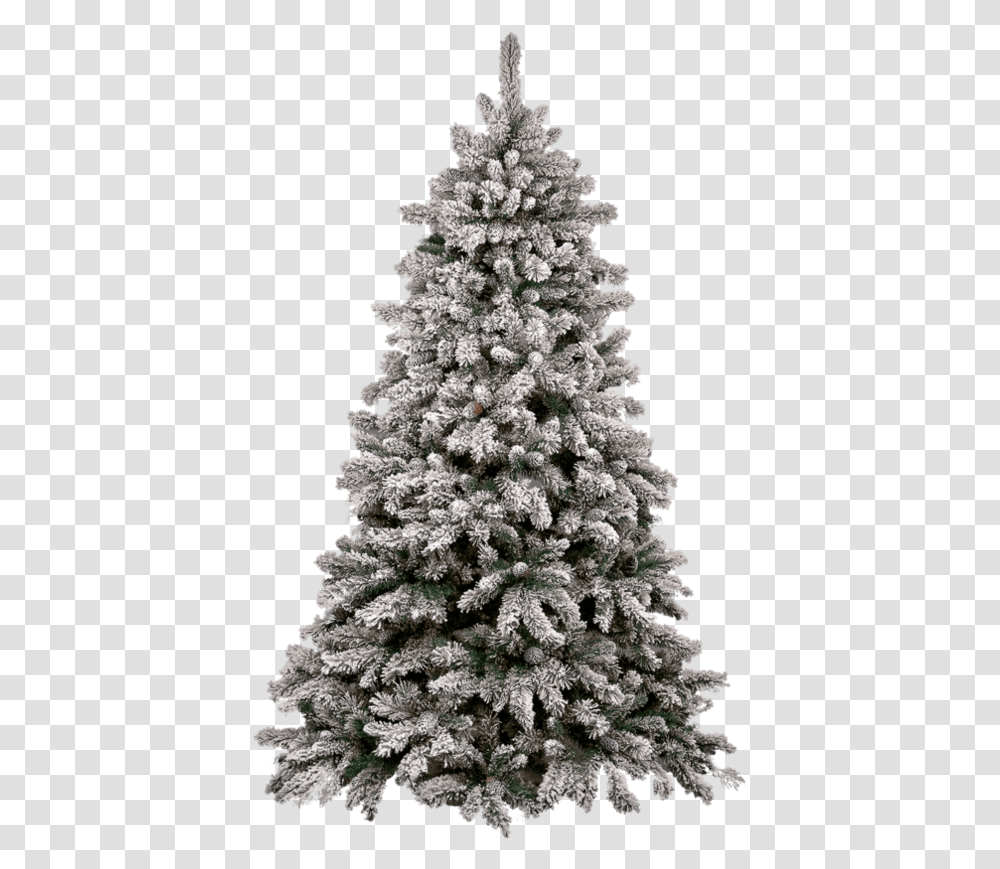 Snow Pine Tree Image Snow Pine Tree, Christmas Tree, Ornament, Plant Transparent Png