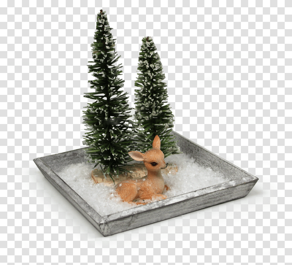Snow Pine Tree, Plant, Ornament, Christmas Tree Transparent Png