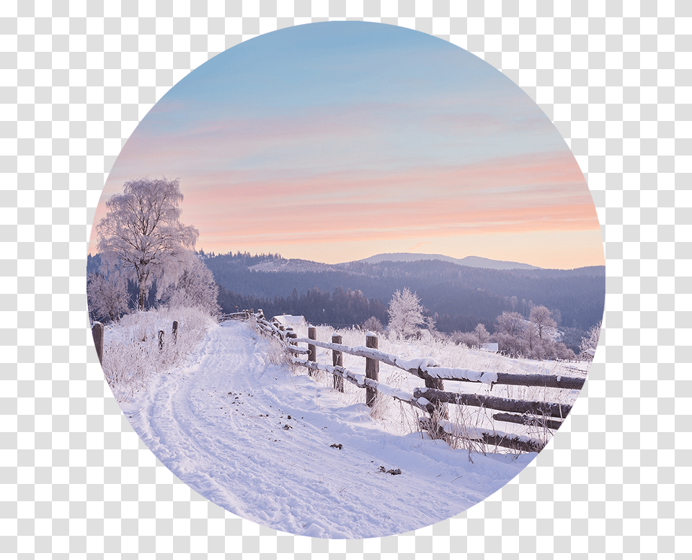 Snow Scene A Sunset, Nature, Outdoors, Fir, Tree Transparent Png