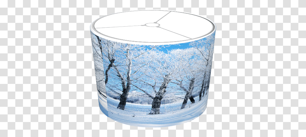 Snow, Tree, Plant, Jacuzzi, Barrel Transparent Png