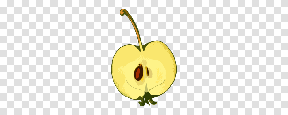 Snow White Seven Dwarfs Apple Drawing, Plant, Fruit, Food Transparent Png