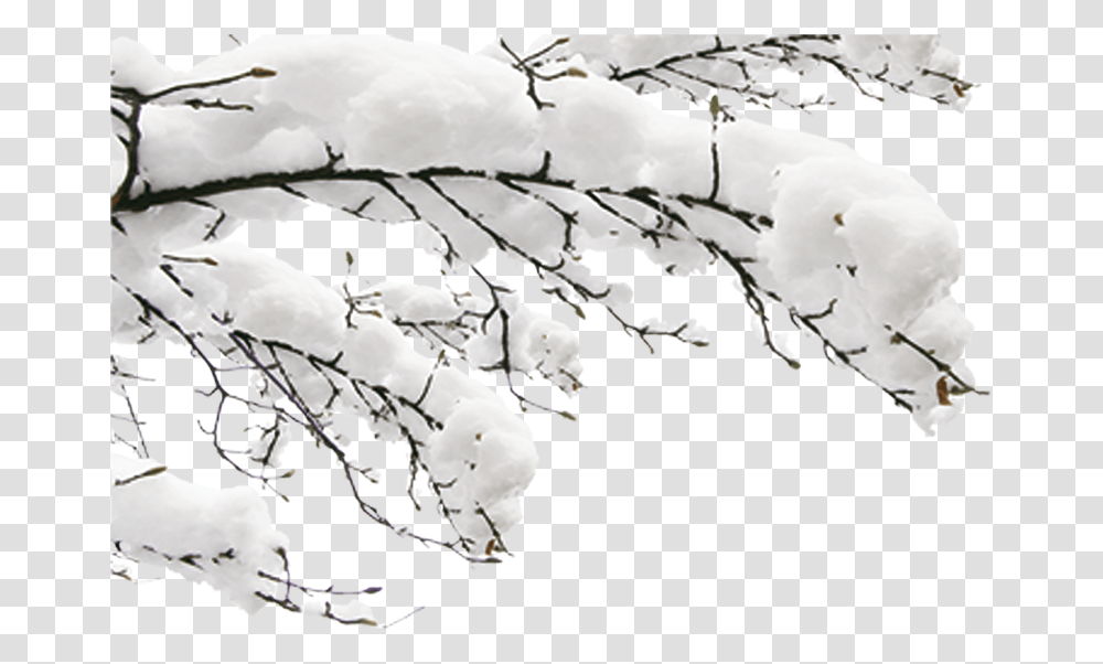 Snow Winter Fundal Winter Tree Branch, Nature, Outdoors, Ice, Frost Transparent Png