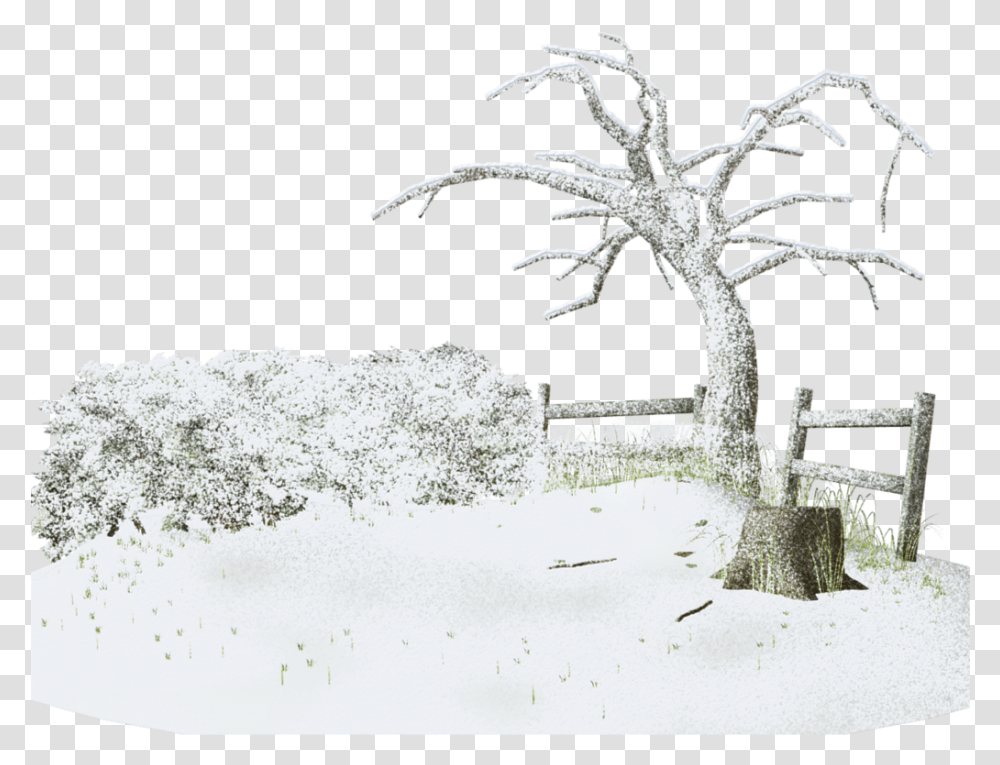 Snow Winter Storm Tree Winters Download 1024791 Givre Paysage Hiver Tube Centerblog, Wood, Plant, Driftwood Transparent Png