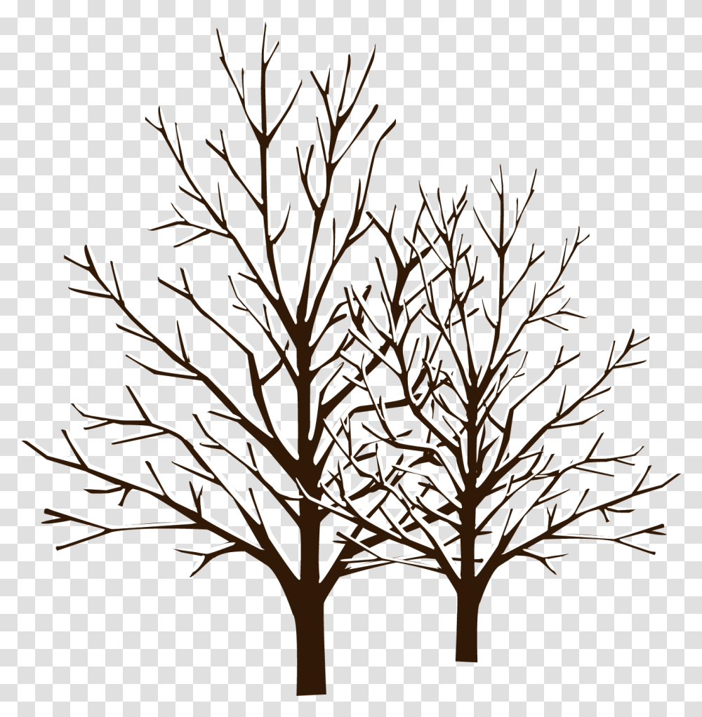 Snow Winter Tree Winter Tree Vector, Nature, Outdoors, Landscape, Scenery Transparent Png