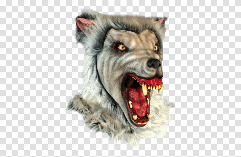 Snow Wolf Mask Mascara Hombre Lobo, Dog, Animal, Mammal, Teeth Transparent Png