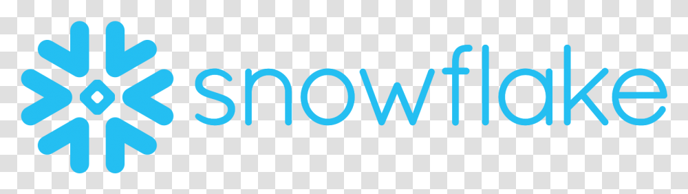 Snowflake Data Warehouse Icon, Word, Logo, Trademark Transparent Png