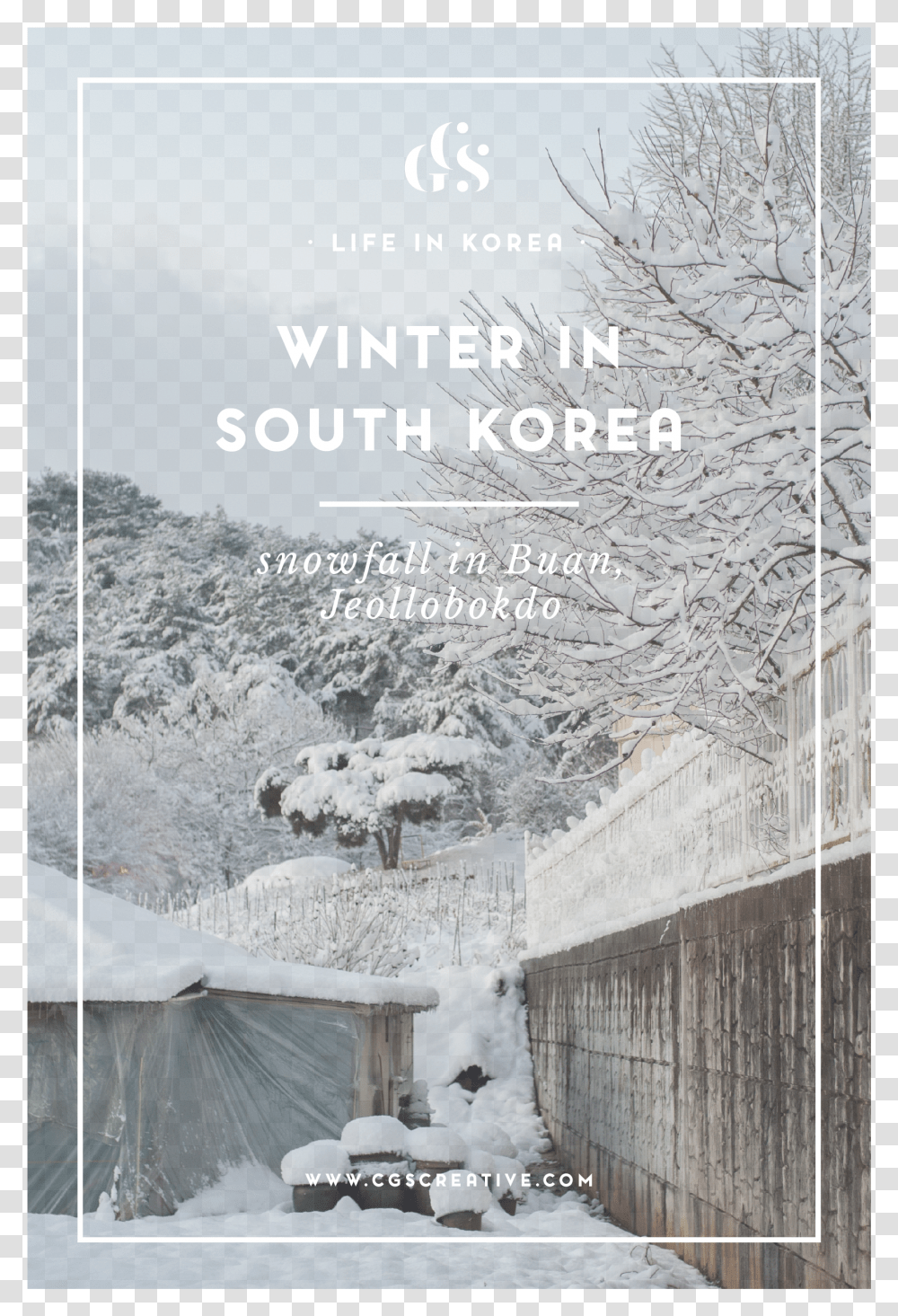 Snowflakes Falling Winter Korea Transparent Png