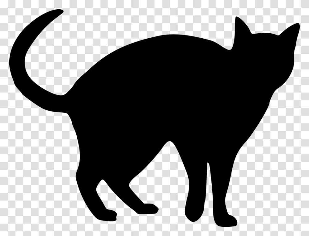 Snowshoe Cat Silhouette Drawing Black Cat Kitten, Gray, World Of Warcraft Transparent Png