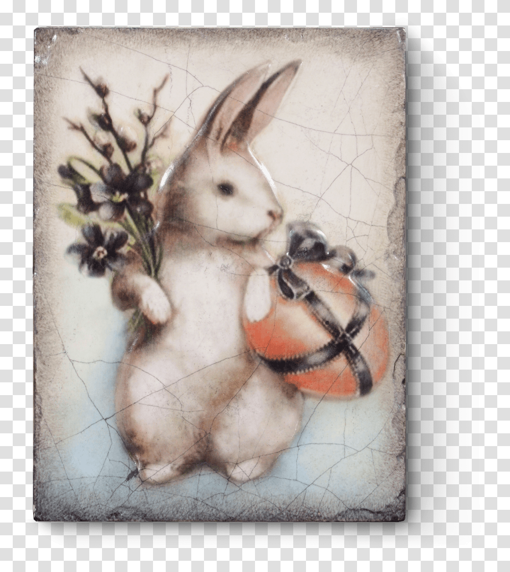 Snowshoe Hare, Animal, Mammal, Dog Transparent Png
