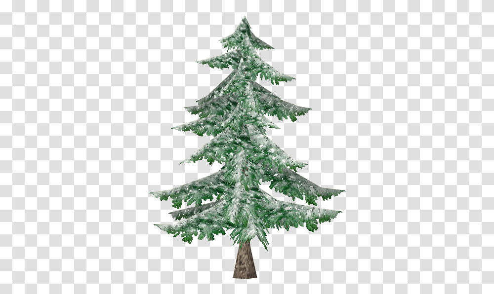 Snowy Balsem Fir Christmas Tree Full Size Download Christmas Tree, Plant, Abies, Pine, Conifer Transparent Png