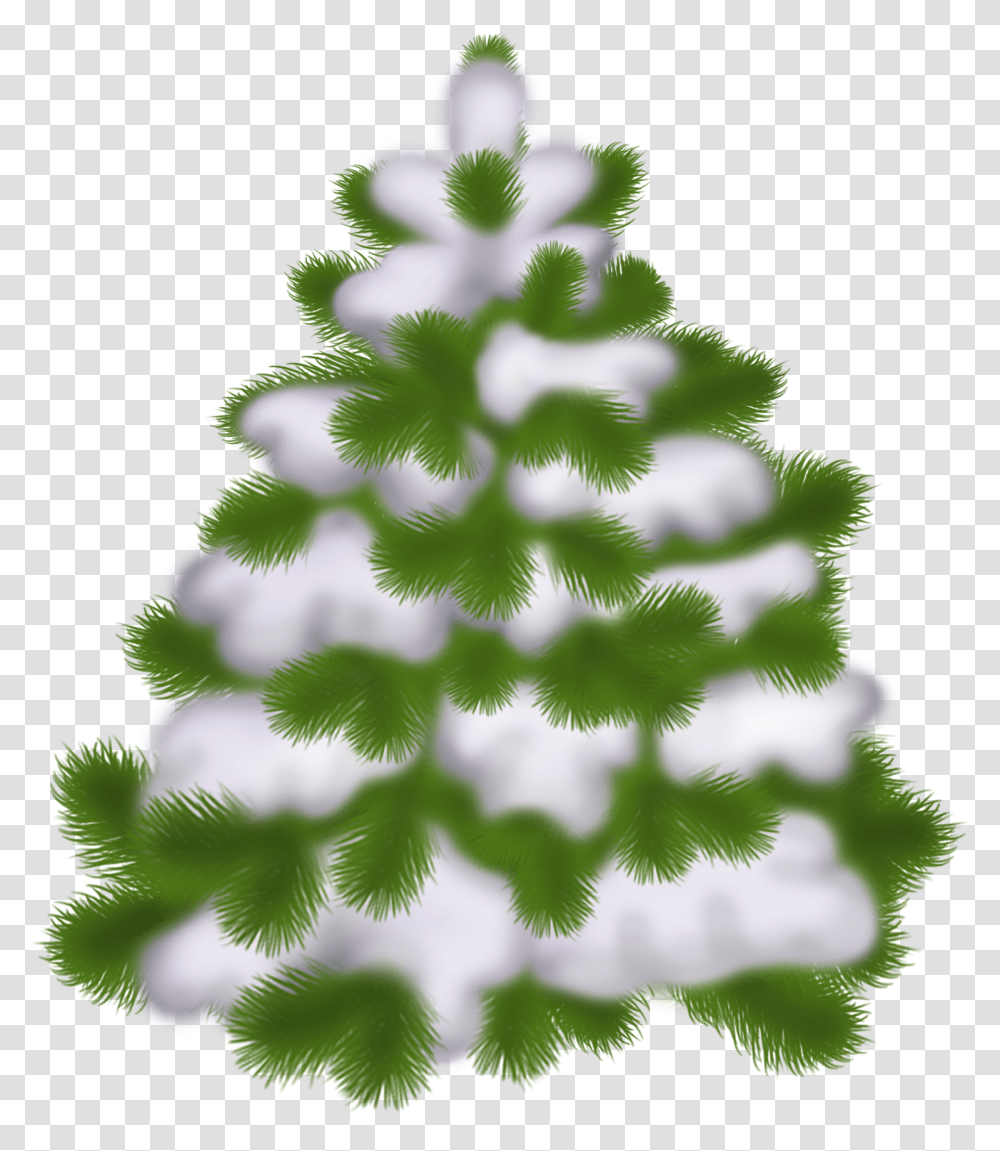 Snowy Christmas Tree Background, Plant, Ornament Transparent Png