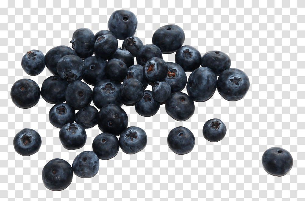 Snowy Mountains Blueberry, Plant, Fruit, Food, Grapes Transparent Png