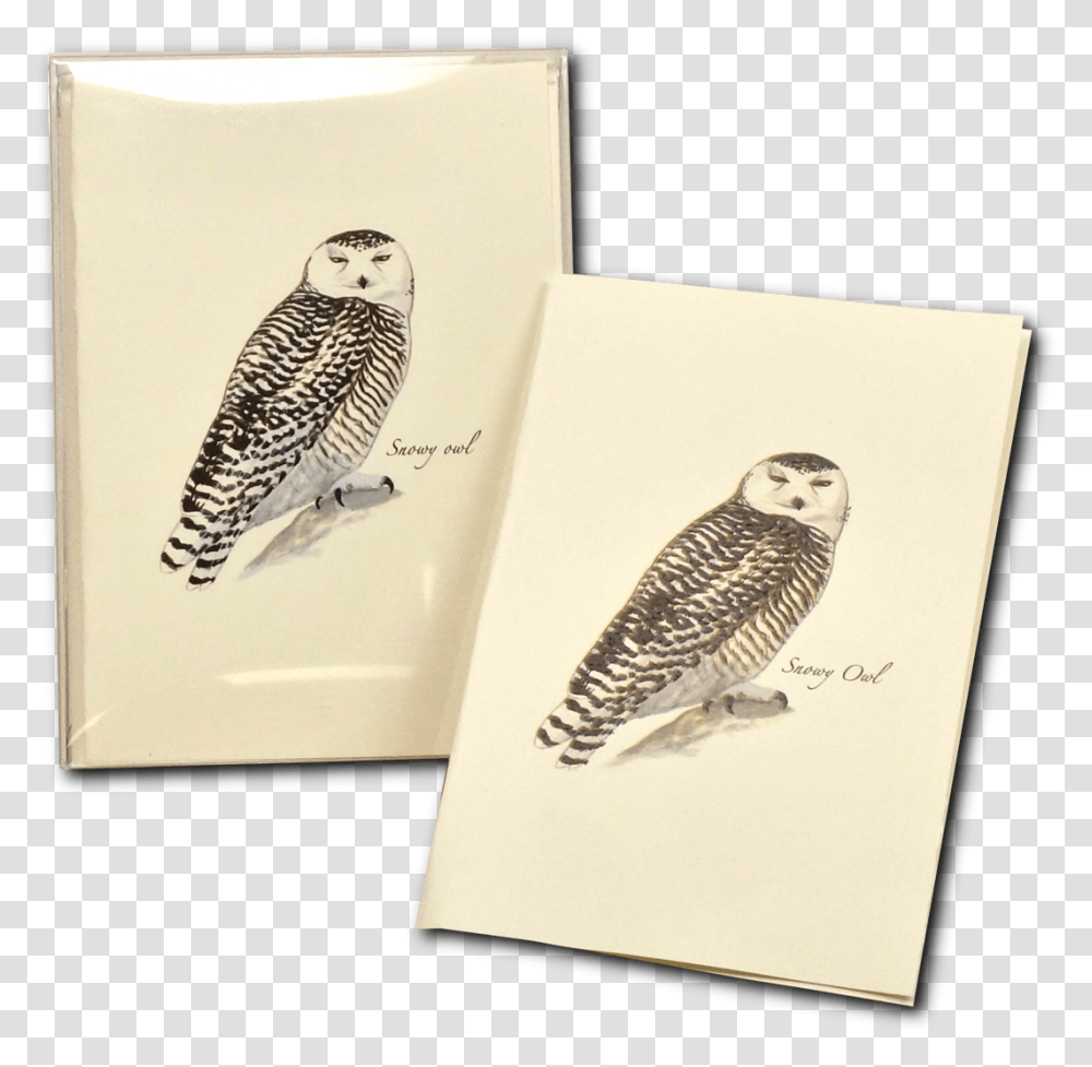 Snowy Owl, Bird, Animal, Envelope Transparent Png