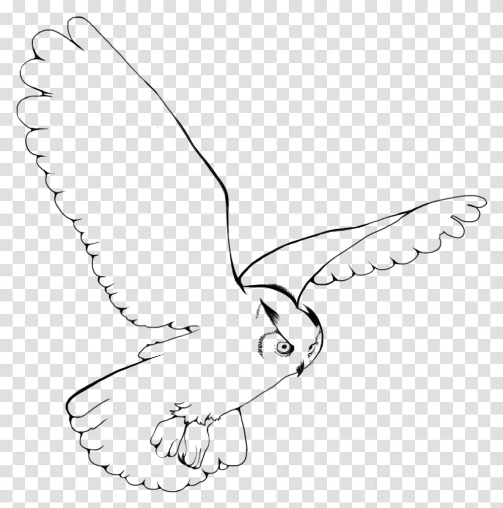 Snowy Owl Bird Drawing Clip Art Snowy Owl Flying Drawing, Outdoors, Nature, Outer Space, Astronomy Transparent Png