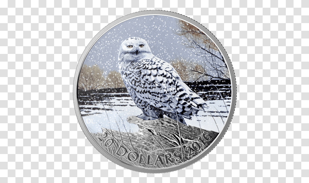 Snowy Owl Silver Coin, Bird, Animal Transparent Png