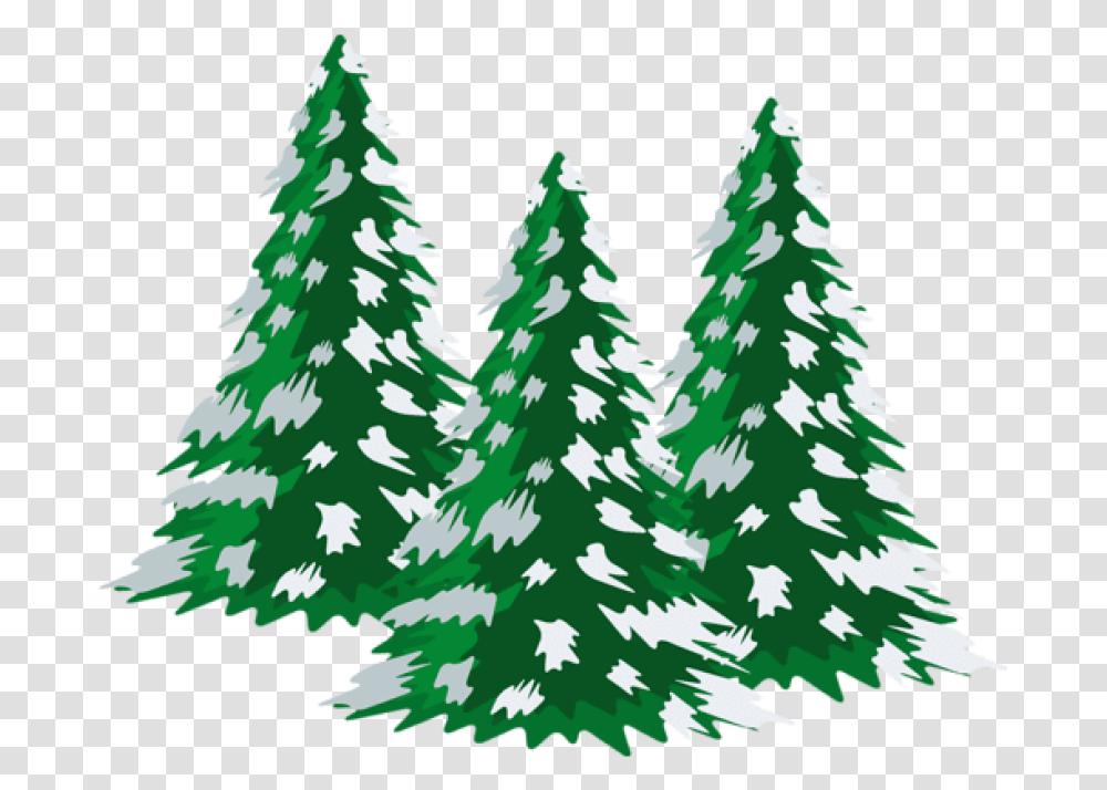 Snowy Tree Christmas Pine Trees Clipart, Plant, Ornament, Christmas Tree Transparent Png