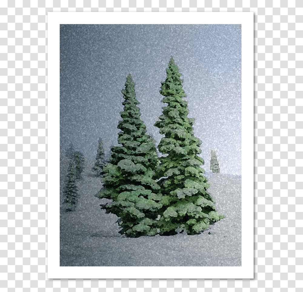 Snowy Trees Holiday Greeting Carddata Caption Christmas Tree, Plant, Fir, Abies, Ornament Transparent Png