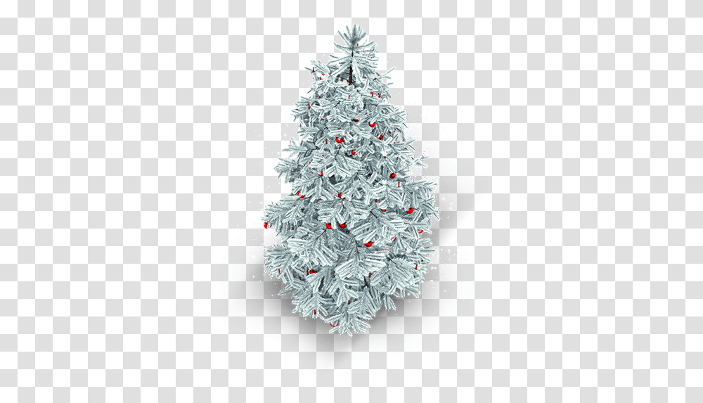 Snowy Xmas Tree Icon Christmas Tree, Ornament, Plant Transparent Png