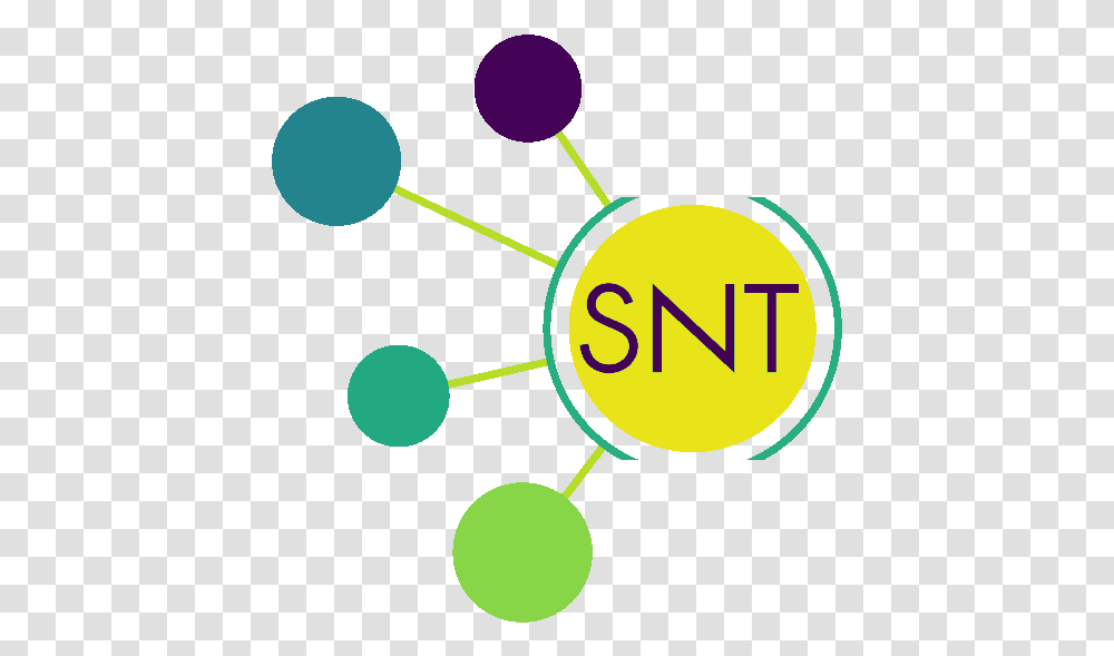 Snt Step Bystep Instructions Imagej Circle, Tennis Ball, Sport, Sports, Pattern Transparent Png