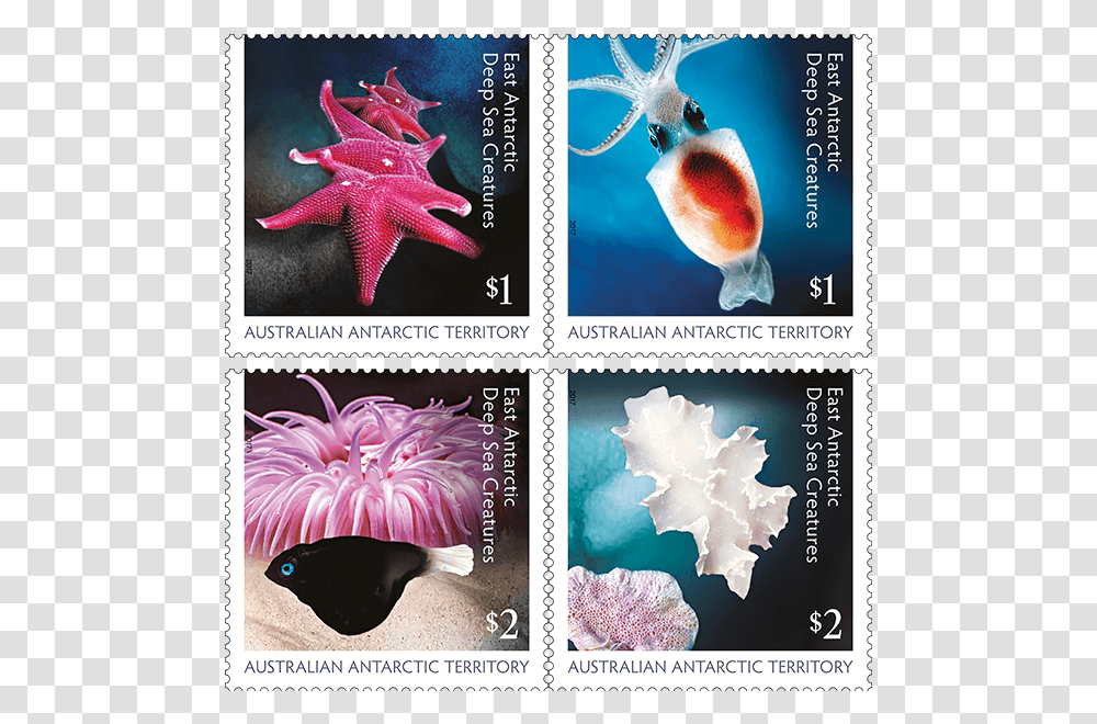 So Exotic And Even Mysterious East Antarctic Deep Sea, Bird, Animal, Postage Stamp, Invertebrate Transparent Png