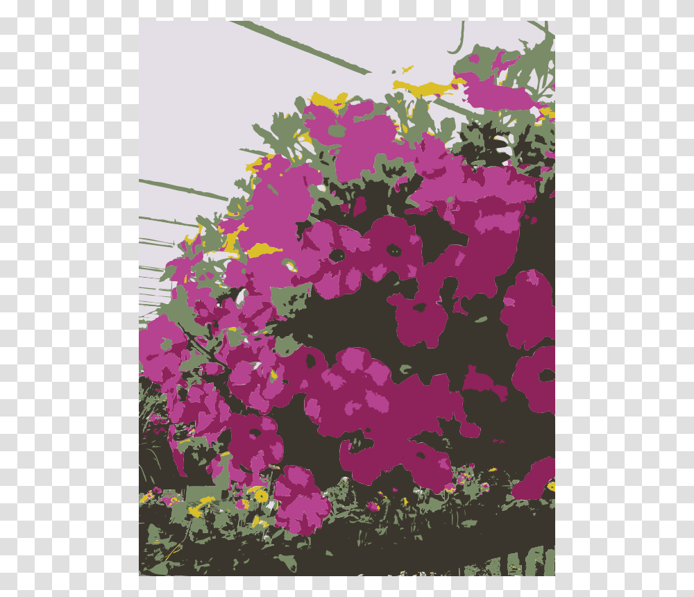 So Many Missouri Aiflowers Flowers, Nature, Plant Transparent Png