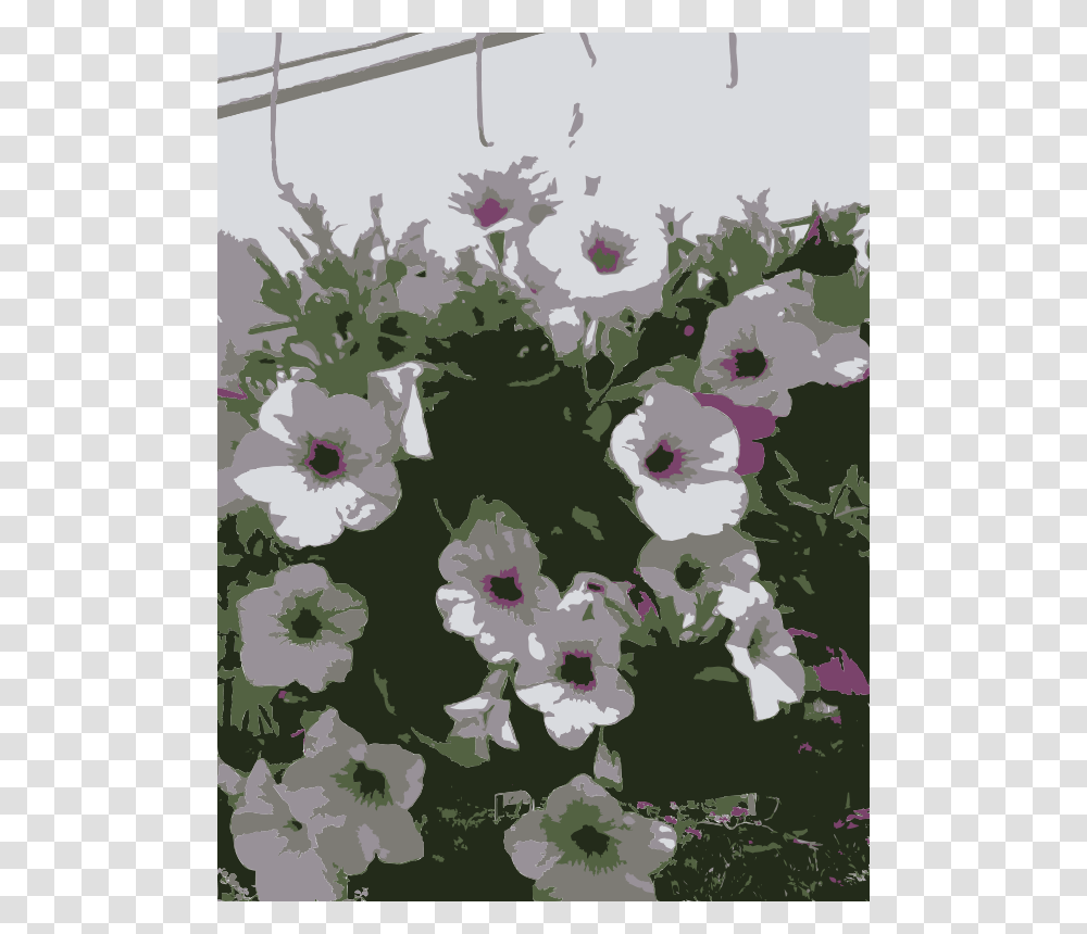 So Many Missouri Aiflowers Flowers, Nature, Plant, Blossom, Hibiscus Transparent Png