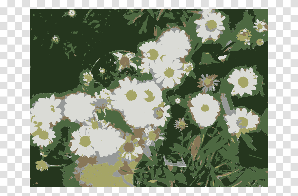 So Many Missouri Aiflowers Flowers, Nature, Plant, Floral Design, Pattern Transparent Png