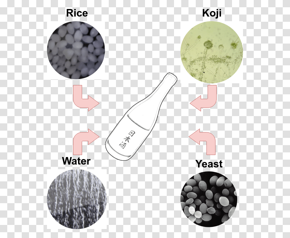 So Rice Water Koji And Special Sake Yeast Are Fab, Collage, Poster, Advertisement Transparent Png