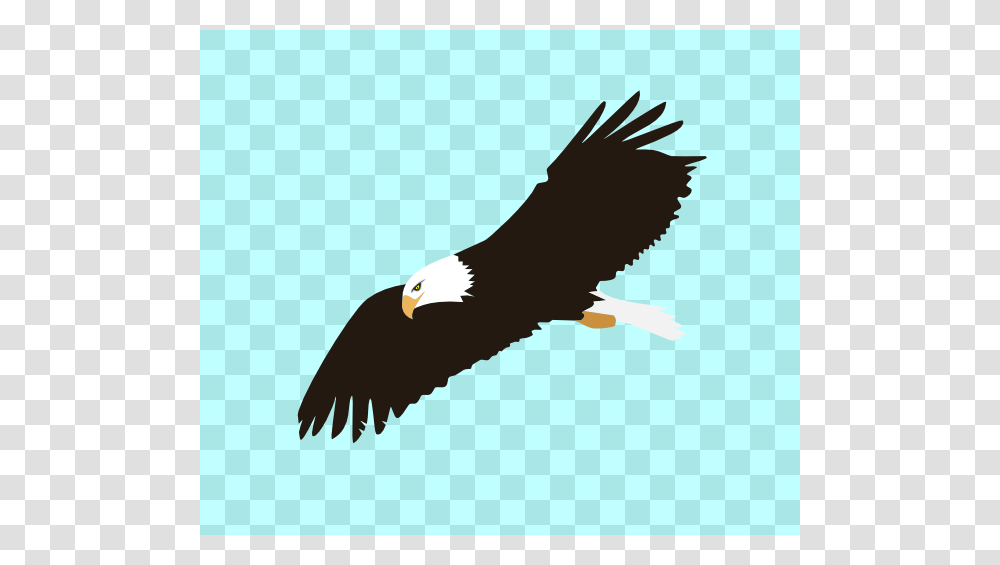Soaring Eagle Clip Art Free Vector, Bird, Animal, Vulture, Bald Eagle Transparent Png