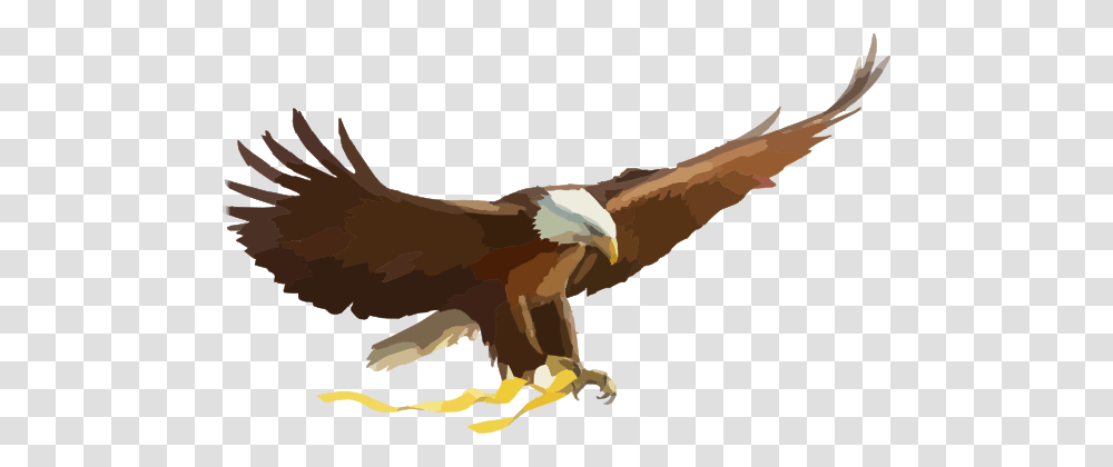 Soaring Eagle Clipart, Bird, Animal, Vulture, Kite Bird Transparent Png