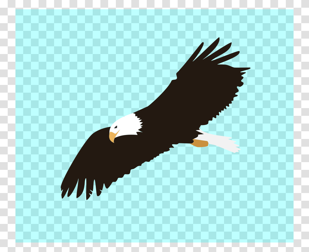 Soaring Eagle Clipart Clip Art Images, Bird, Animal, Bald Eagle, Vulture Transparent Png