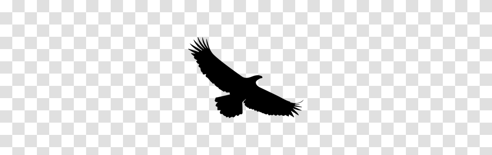 Soaring Eagle Clipart Free Clipart, Gray, World Of Warcraft Transparent Png