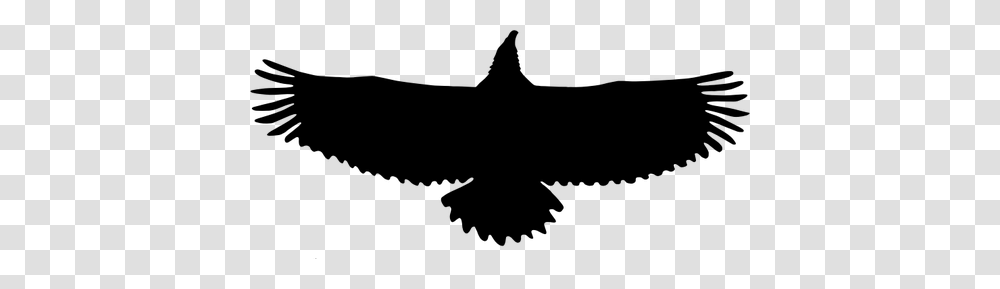 Soaring Eagle Silhouette Clip Art, Gray, World Of Warcraft Transparent Png