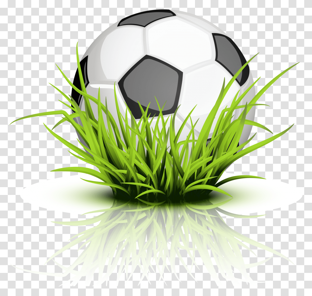Soccer Grass Images Free Download, Soccer Ball, Football, Team Sport, Sports Transparent Png