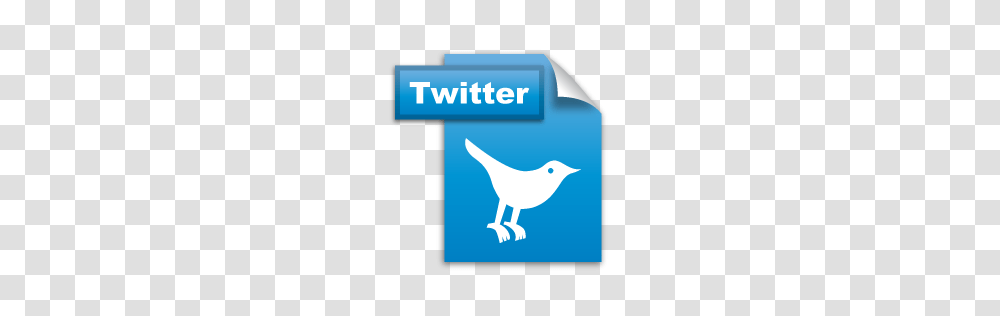 Social Icons, Logo, Bird, Animal Transparent Png