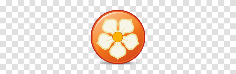 Social Icons, Logo, Plant, Citrus Fruit, Food Transparent Png