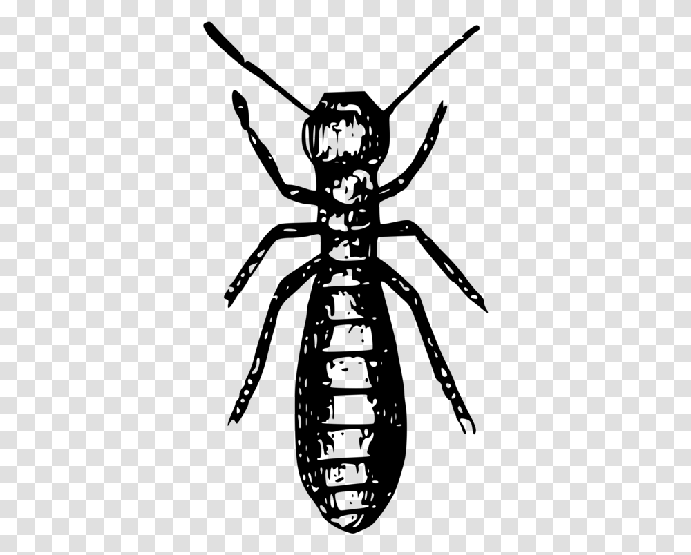 Social Insects Ant Termite Pest Termite Black And White, Gray, World Of Warcraft Transparent Png
