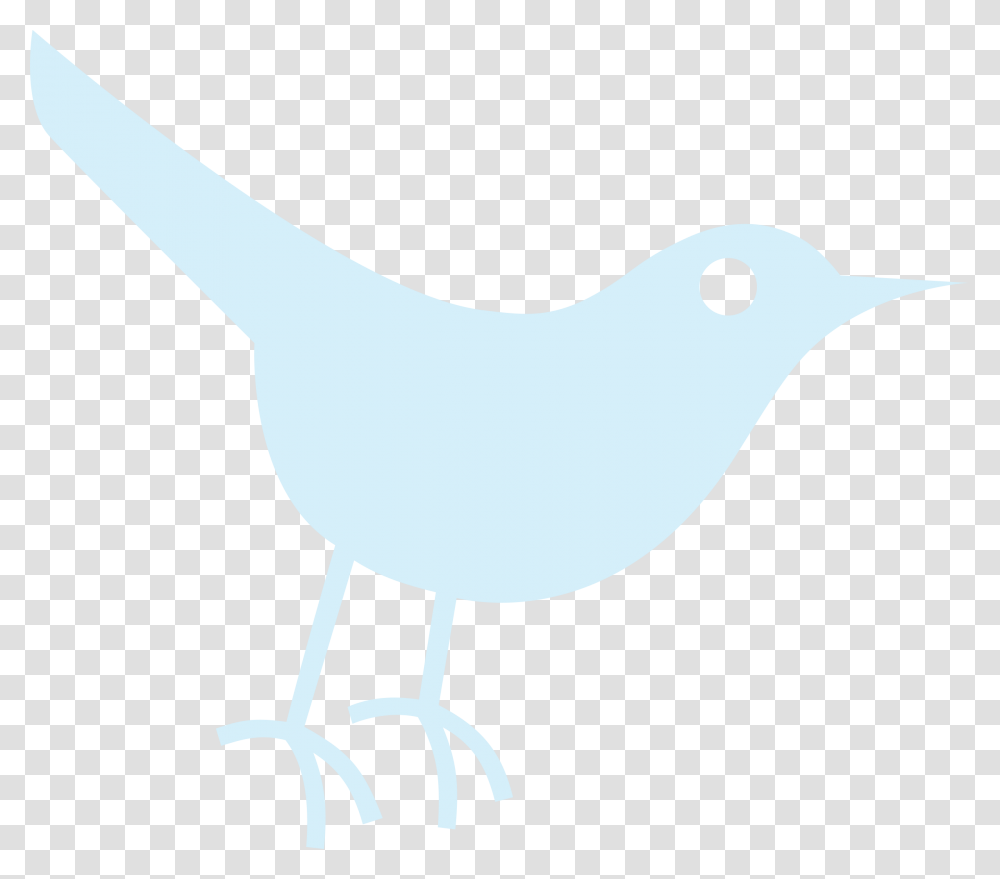 Social Media, Bird, Animal, Canary, Reptile Transparent Png