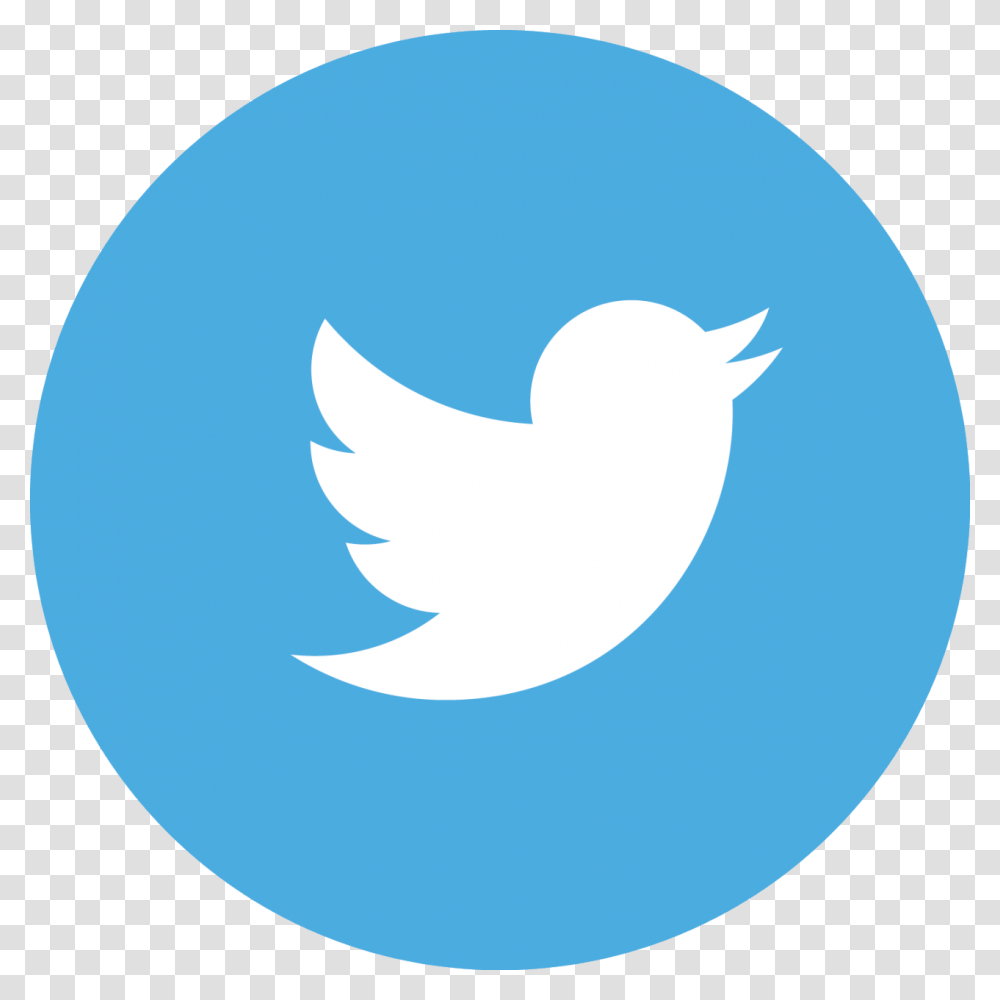 Social Media Clipart Tumblr, Logo, Bird, Animal Transparent Png