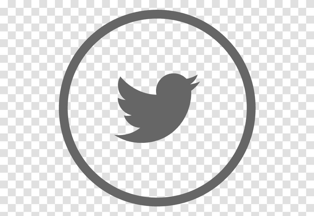 Social Media Follow Me On Twitter, Logo, Animal, Painting Transparent Png