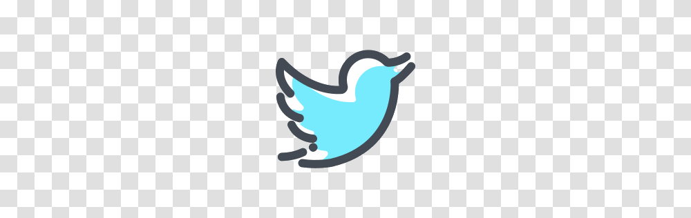 Social Media Icons, Animal, Bird, Seagull, Rubber Eraser Transparent Png