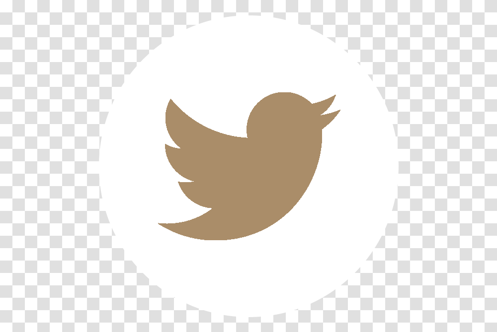 Social Media Icons Vector Twitter Download Twitter Marca De Agua, Logo, Trademark, Seed Transparent Png