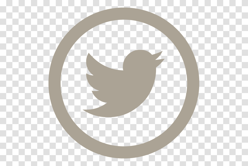 Social Media Logos Individual Hd Logo Free Unlimited Twitter Icon Grey, Bird, Animal, Rug Transparent Png