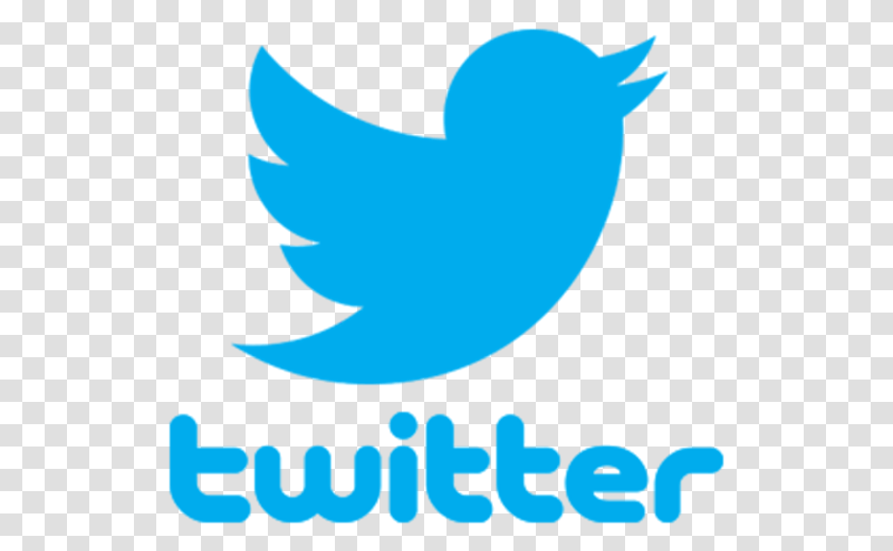 Social Media Twitter Blog User Twitter, Logo, Trademark, Poster Transparent Png