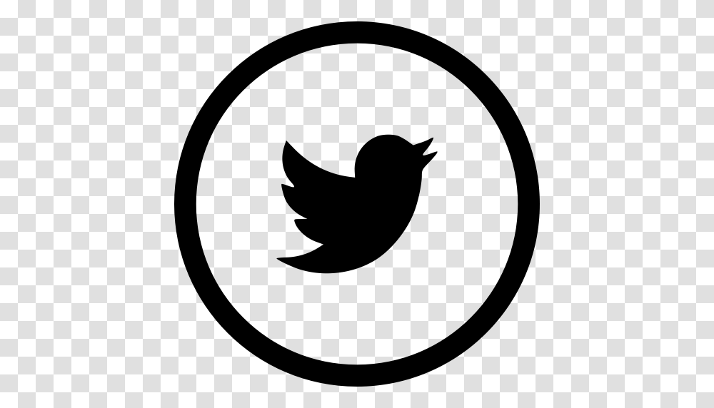Social Media Twitter Icon, Gray, World Of Warcraft Transparent Png