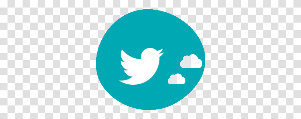 Social Media - Bohring Opitz Syndrome Facebook Twitter, Animal, Text, Bird Transparent Png