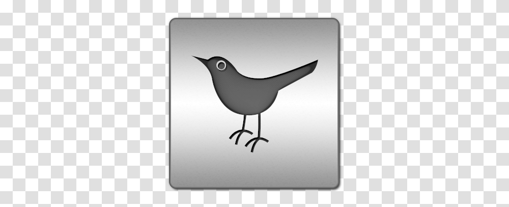 Social Network Bird Animal Twitter Sn Icon Twitter Bird Icon, Wren, Silhouette, Blackbird, Agelaius Transparent Png