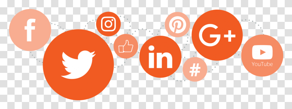 Social Networks Social Media E Marketing, Plant, Sweets, Food Transparent Png